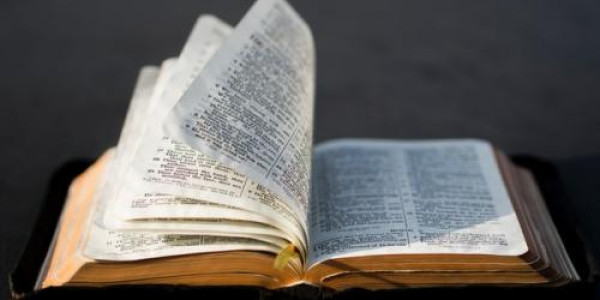 Como a Bíblia é organizada?
